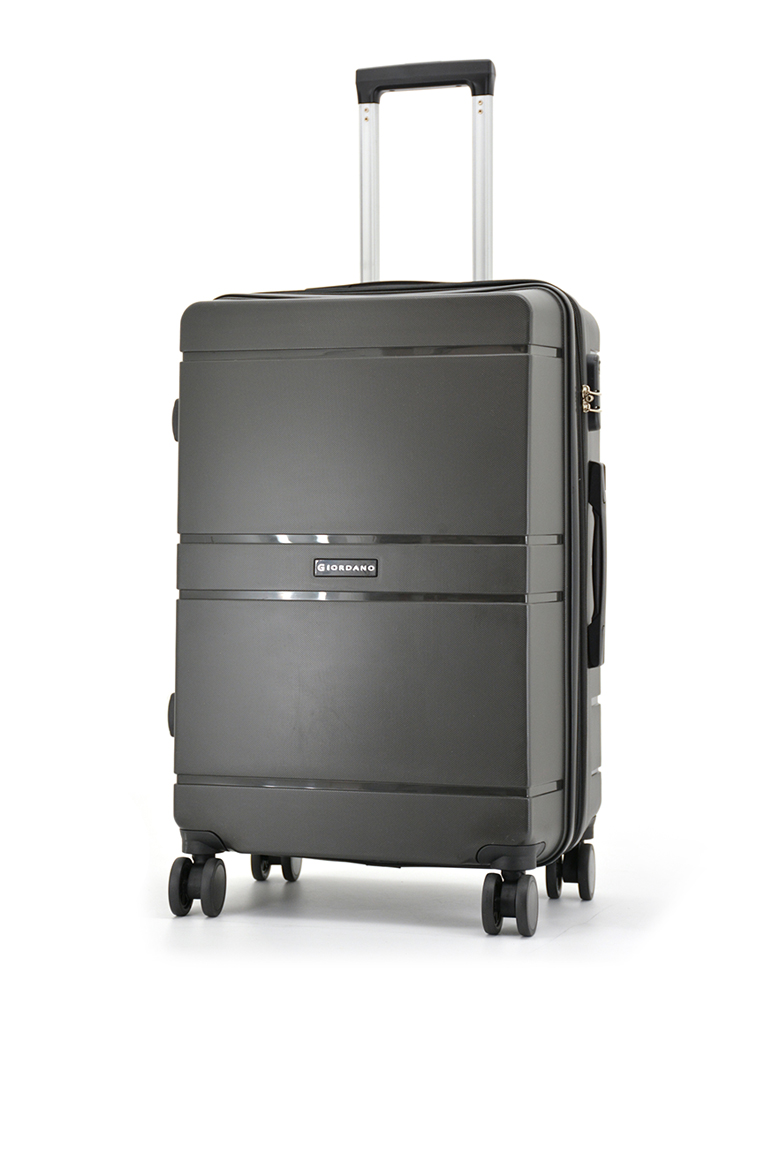 PP suitcase in a lighter colourway